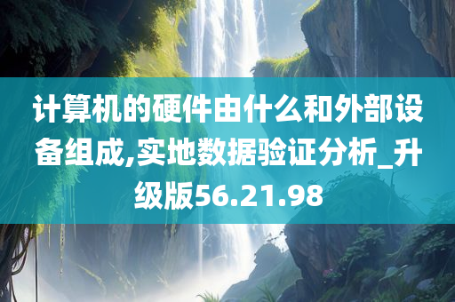 计算机的硬件由什么和外部设备组成,实地数据验证分析_升级版56.21.98