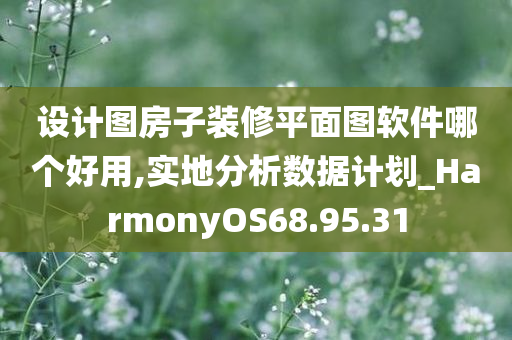 设计图房子装修平面图软件哪个好用,实地分析数据计划_HarmonyOS68.95.31