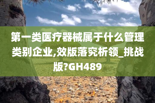 第一类医疗器械属于什么管理类别企业,效版落究析领_挑战版?GH489