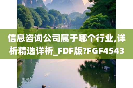 信息咨询公司属于哪个行业,详析精选详析_FDF版?FGF4543