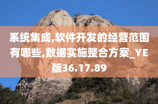 系统集成,软件开发的经营范围有哪些,数据实施整合方案_YE版36.17.89