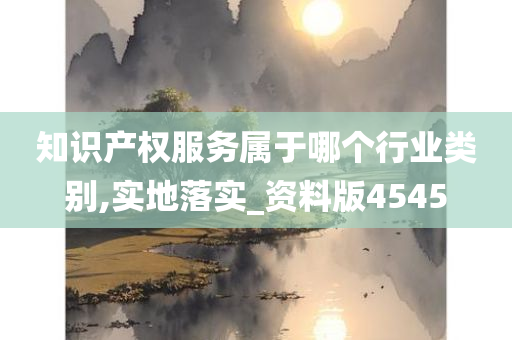 知识产权服务属于哪个行业类别,实地落实_资料版4545