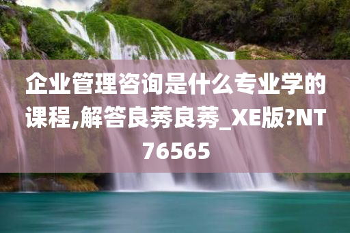 企业管理咨询是什么专业学的课程,解答良莠良莠_XE版?NT76565