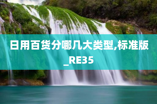 日用百货分哪几大类型,标准版_RE35