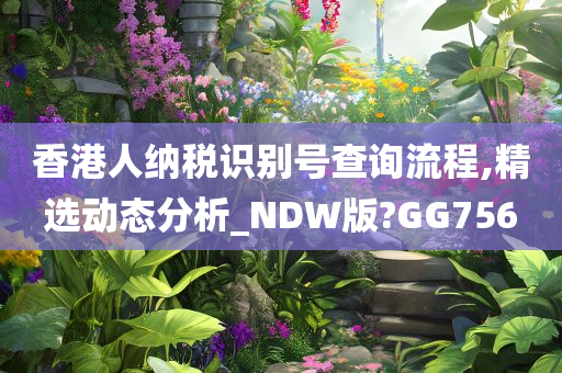 香港人纳税识别号查询流程,精选动态分析_NDW版?GG756