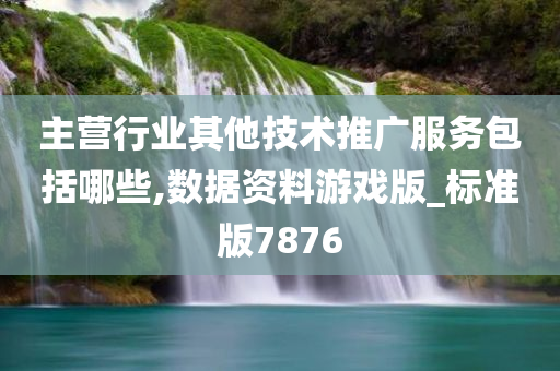 主营行业其他技术推广服务包括哪些,数据资料游戏版_标准版7876