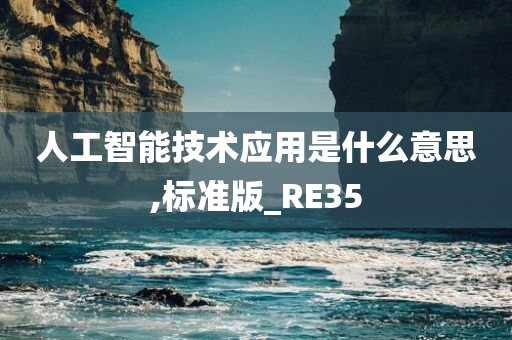 人工智能技术应用是什么意思,标准版_RE35