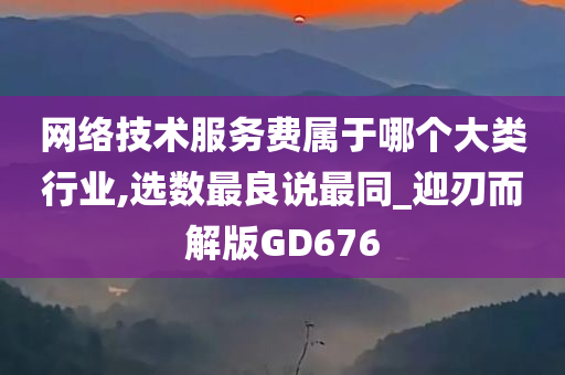 网络技术服务费属于哪个大类行业,选数最良说最同_迎刃而解版GD676