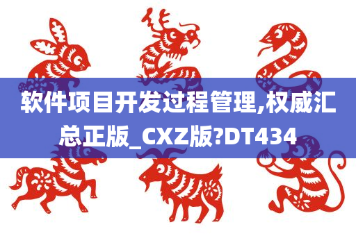 软件项目开发过程管理,权威汇总正版_CXZ版?DT434