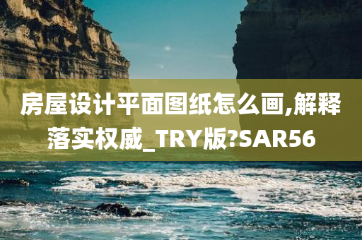 房屋设计平面图纸怎么画,解释落实权威_TRY版?SAR56