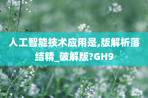 人工智能技术应用是,版解析落结精_破解版?GH9