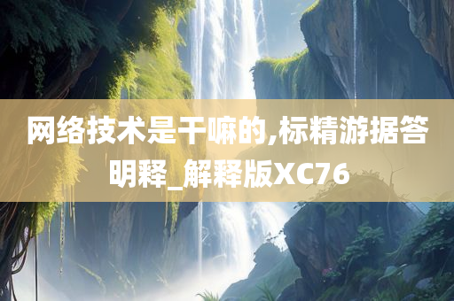 网络技术是干嘛的,标精游据答明释_解释版XC76