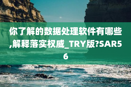 你了解的数据处理软件有哪些,解释落实权威_TRY版?SAR56