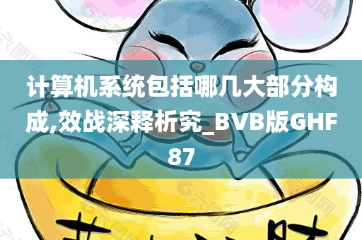 计算机系统包括哪几大部分构成,效战深释析究_BVB版GHF87