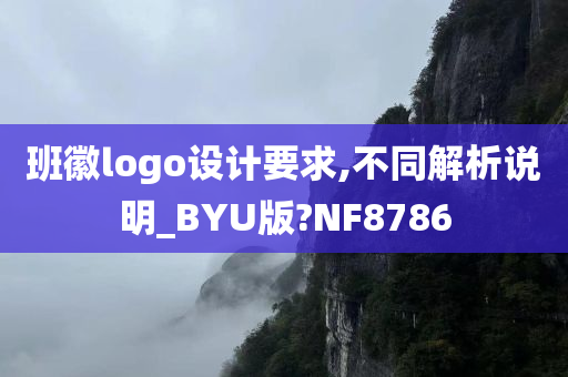 班徽logo设计要求,不同解析说明_BYU版?NF8786