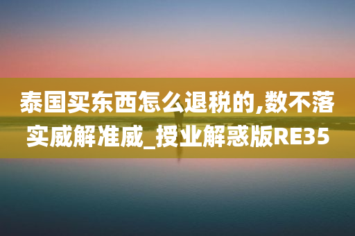 泰国买东西怎么退税的,数不落实威解准威_授业解惑版RE35