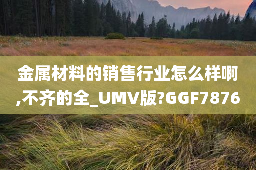 金属材料的销售行业怎么样啊,不齐的全_UMV版?GGF7876