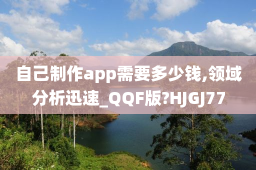 自己制作app需要多少钱,领域分析迅速_QQF版?HJGJ77