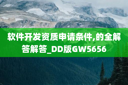 软件开发资质申请条件,的全解答解答_DD版GW5656