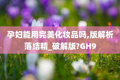 孕妇能用完美化妆品吗,版解析落结精_破解版?GH9