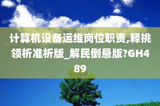 计算机设备运维岗位职责,释挑领析准析版_解民倒悬版?GH489