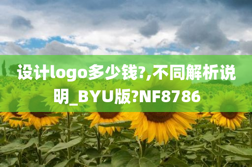 设计logo多少钱?,不同解析说明_BYU版?NF8786