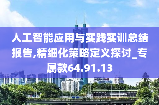 人工智能应用与实践实训总结报告,精细化策略定义探讨_专属款64.91.13