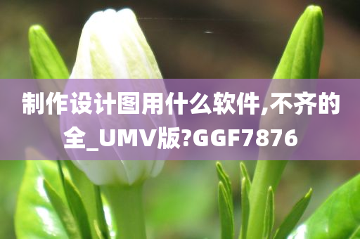 制作设计图用什么软件,不齐的全_UMV版?GGF7876