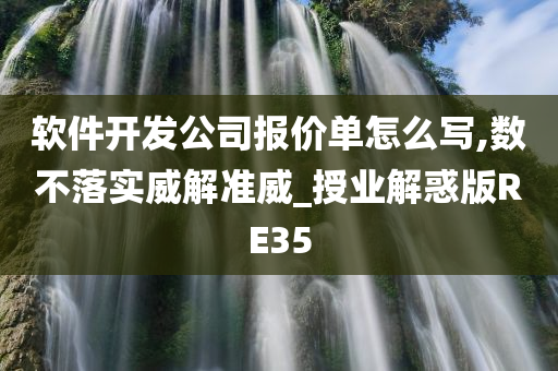 软件开发公司报价单怎么写,数不落实威解准威_授业解惑版RE35