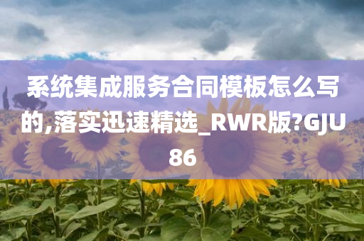 系统集成服务合同模板怎么写的,落实迅速精选_RWR版?GJU86