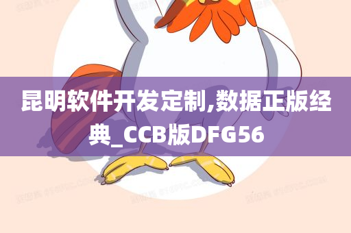 昆明软件开发定制,数据正版经典_CCB版DFG56