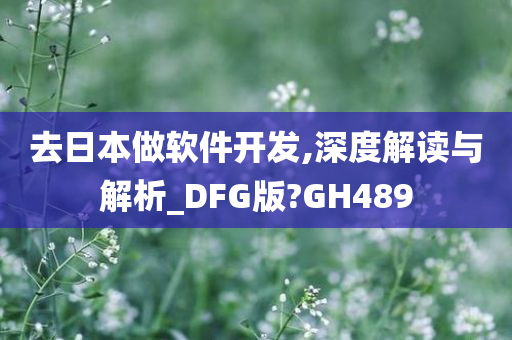 去日本做软件开发,深度解读与解析_DFG版?GH489