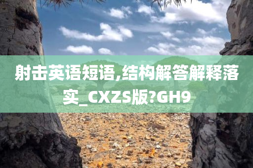 射击英语短语,结构解答解释落实_CXZS版?GH9