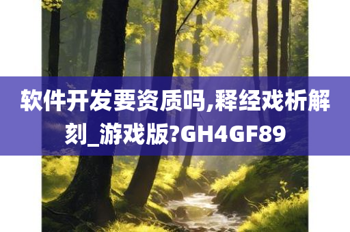 软件开发要资质吗,释经戏析解刻_游戏版?GH4GF89