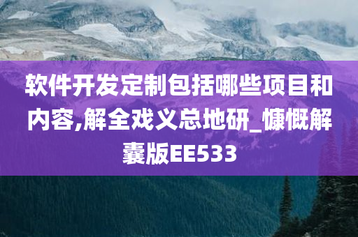 软件开发定制包括哪些项目和内容,解全戏义总地研_慷慨解囊版EE533