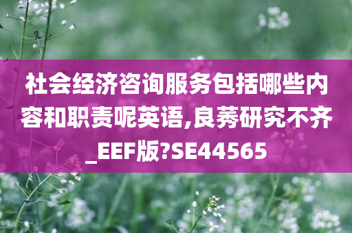 社会经济咨询服务包括哪些内容和职责呢英语,良莠研究不齐_EEF版?SE44565