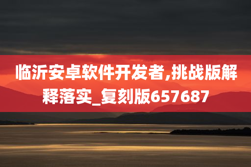 临沂安卓软件开发者,挑战版解释落实_复刻版657687