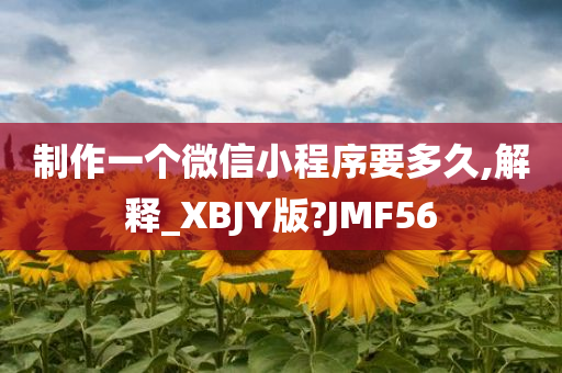 制作一个微信小程序要多久,解释_XBJY版?JMF56