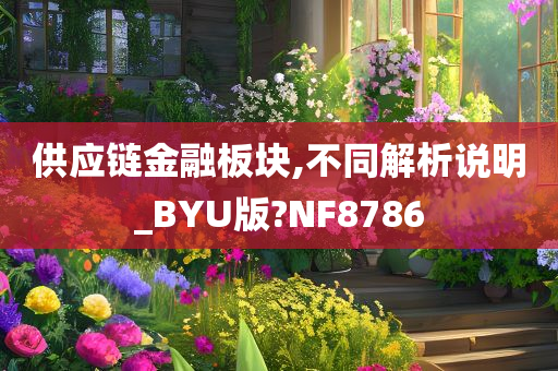 供应链金融板块,不同解析说明_BYU版?NF8786