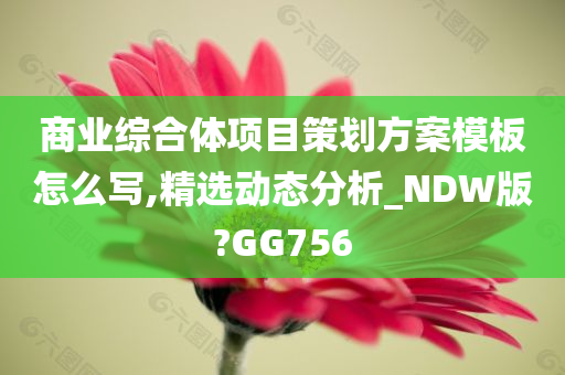 商业综合体项目策划方案模板怎么写,精选动态分析_NDW版?GG756