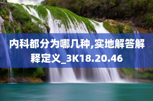 内科都分为哪几种,实地解答解释定义_3K18.20.46