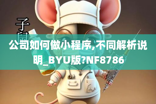 公司如何做小程序,不同解析说明_BYU版?NF8786