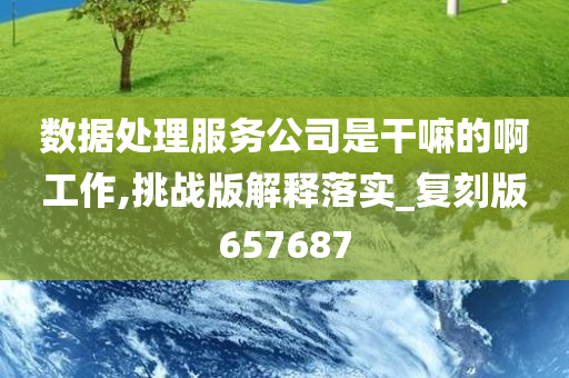 数据处理服务公司是干嘛的啊工作,挑战版解释落实_复刻版657687