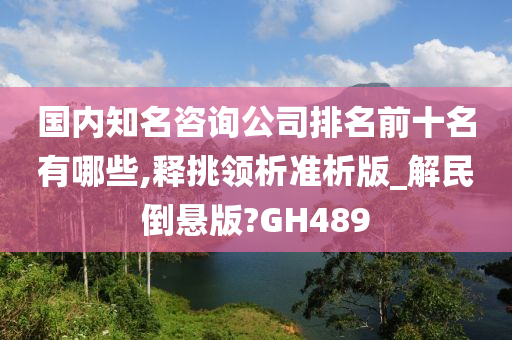 国内知名咨询公司排名前十名有哪些,释挑领析准析版_解民倒悬版?GH489