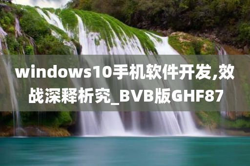 windows10手机软件开发,效战深释析究_BVB版GHF87