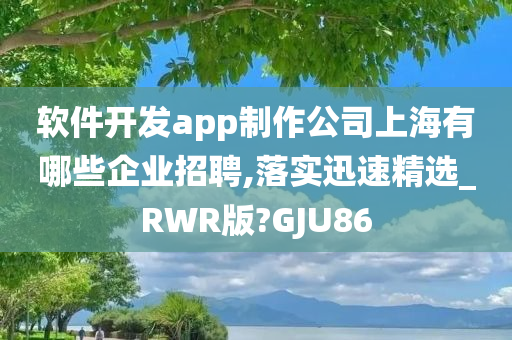 软件开发app制作公司上海有哪些企业招聘,落实迅速精选_RWR版?GJU86