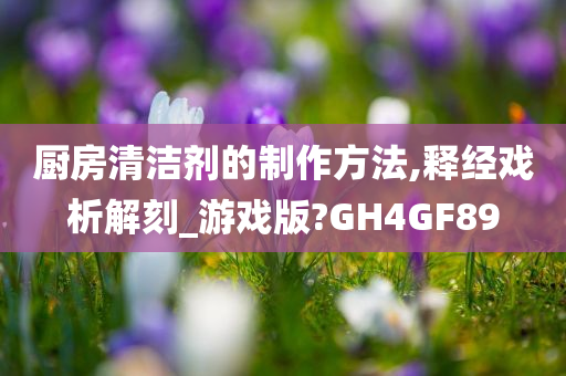 厨房清洁剂的制作方法,释经戏析解刻_游戏版?GH4GF89