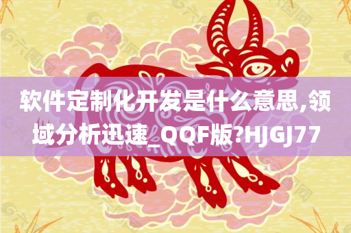 软件定制化开发是什么意思,领域分析迅速_QQF版?HJGJ77