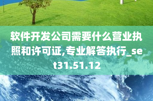 软件开发公司需要什么营业执照和许可证,专业解答执行_set31.51.12