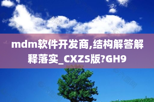 mdm软件开发商,结构解答解释落实_CXZS版?GH9